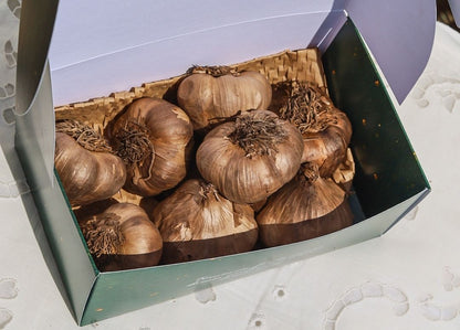 Aglio nero in box da 300g