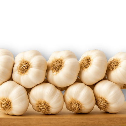 Aglio bianco (treccia)