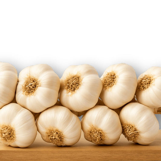 Aglio bianco (treccia)